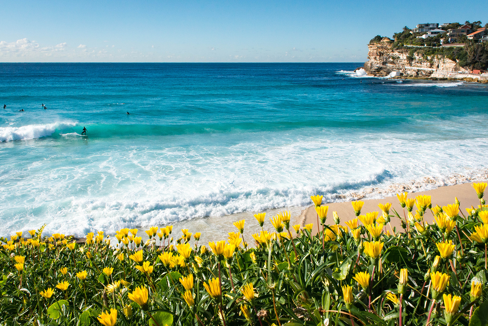 Spring In Full Swing, Bronte Beach, Australia FROTHERS GALLERY